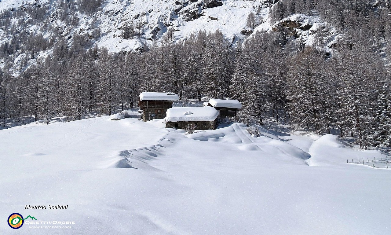 21 Cogne - Valnontey, si viaggia su 80-140 cm. di stupenda neve....JPG